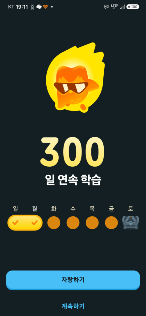 300일 연속학습